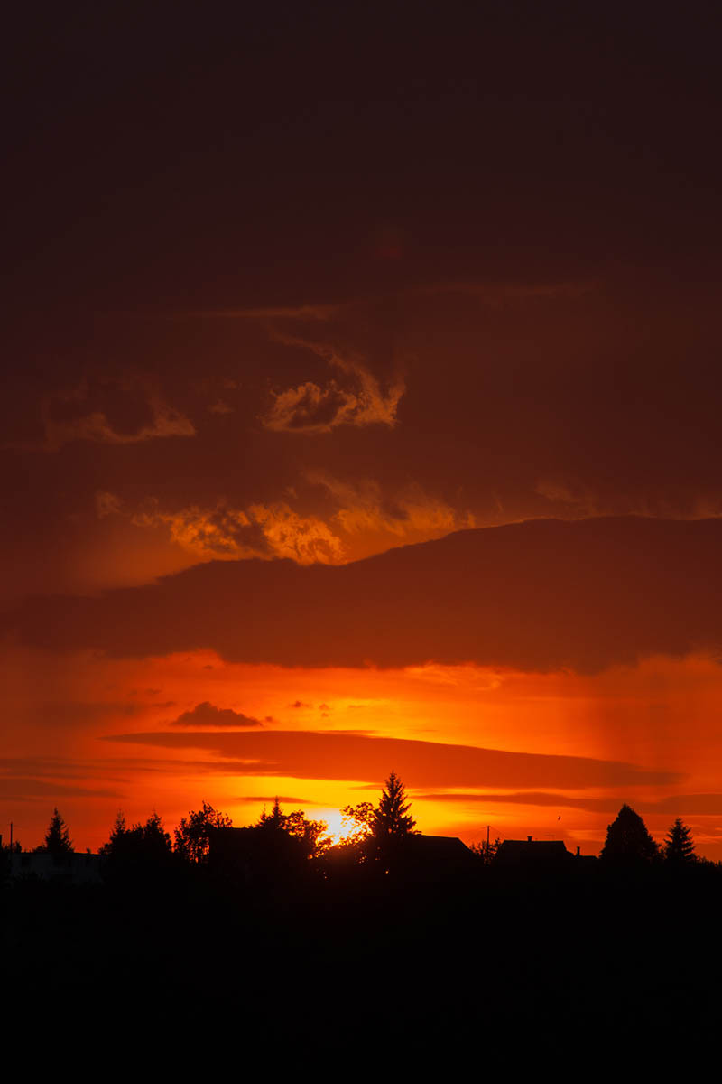 DSC00039