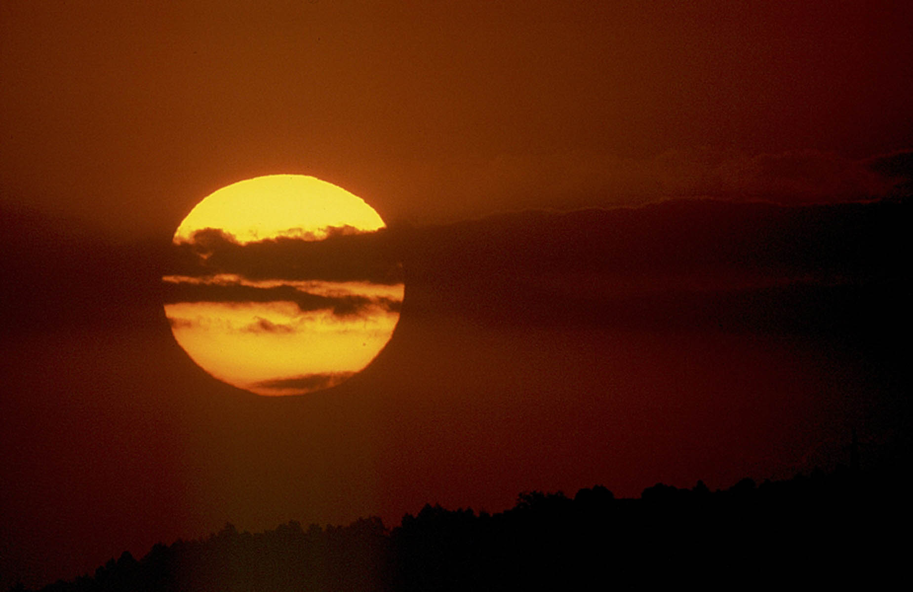 The Sun - Sunce