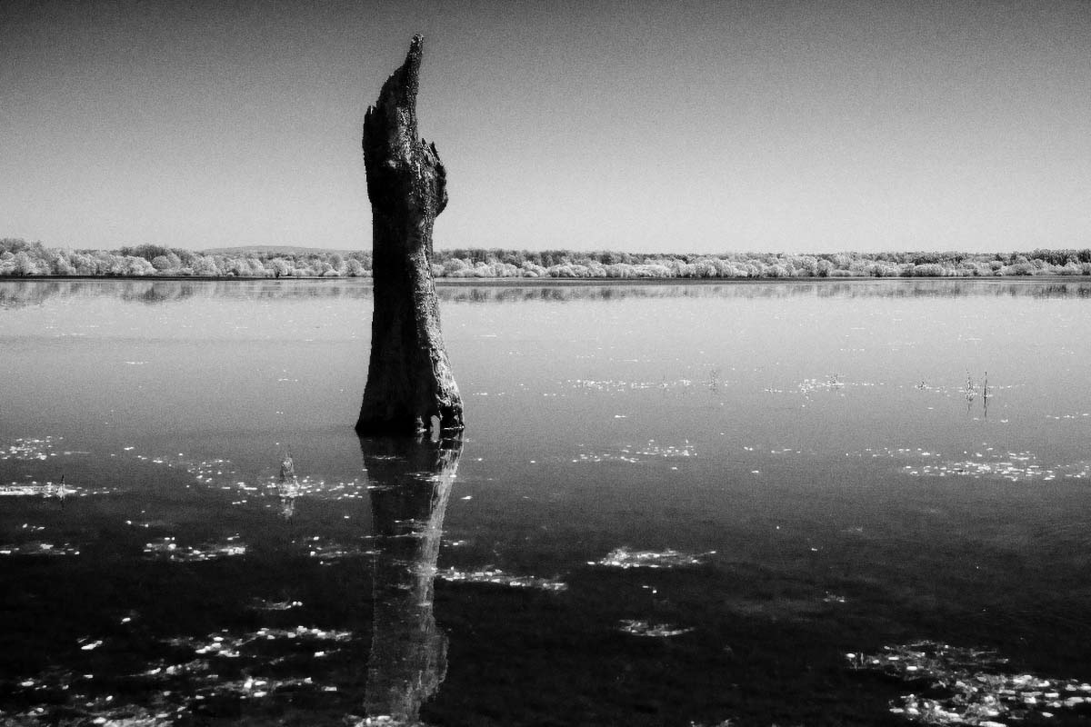 Black&White - Crno bijele