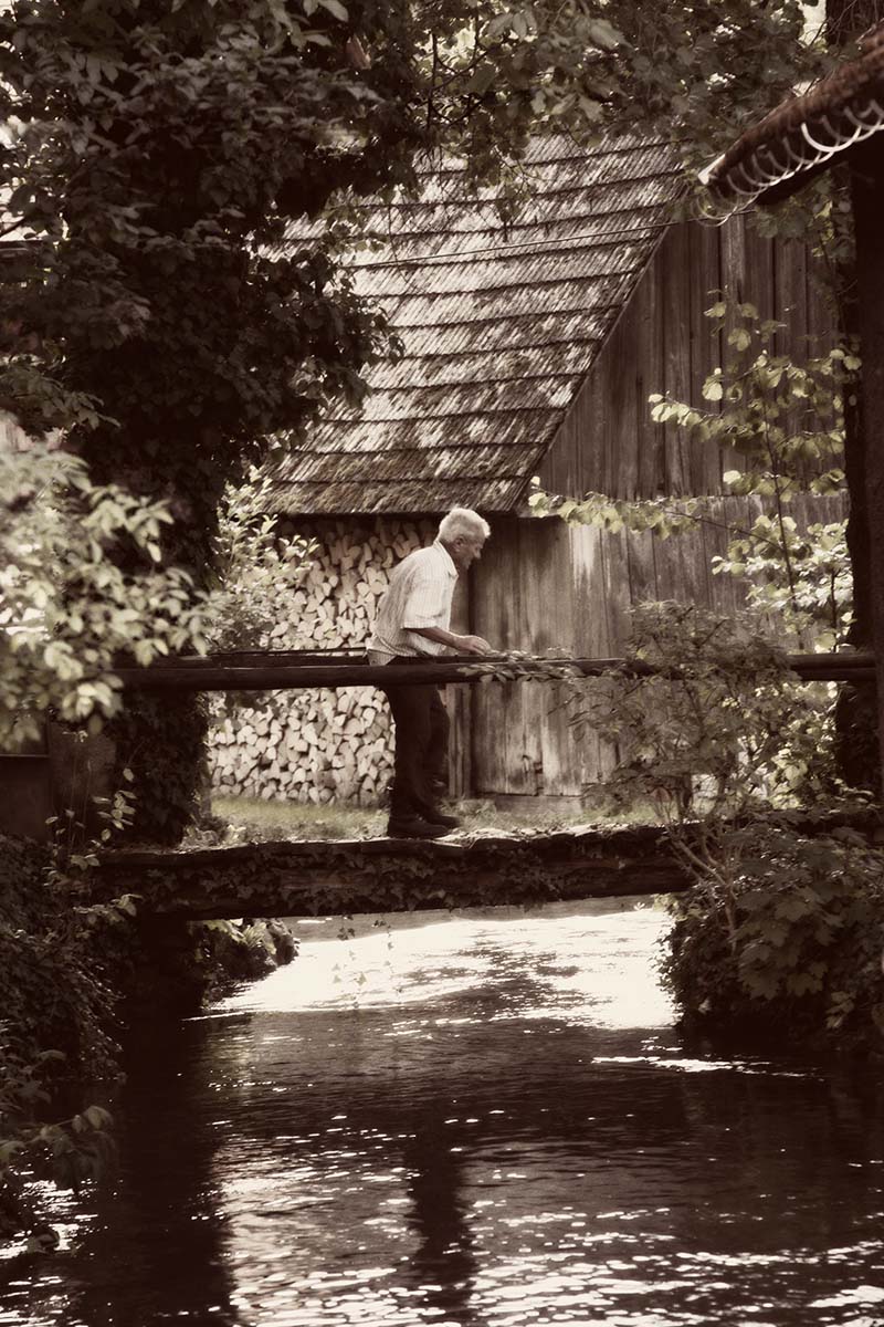 OLD MAN FROM RASTOKE