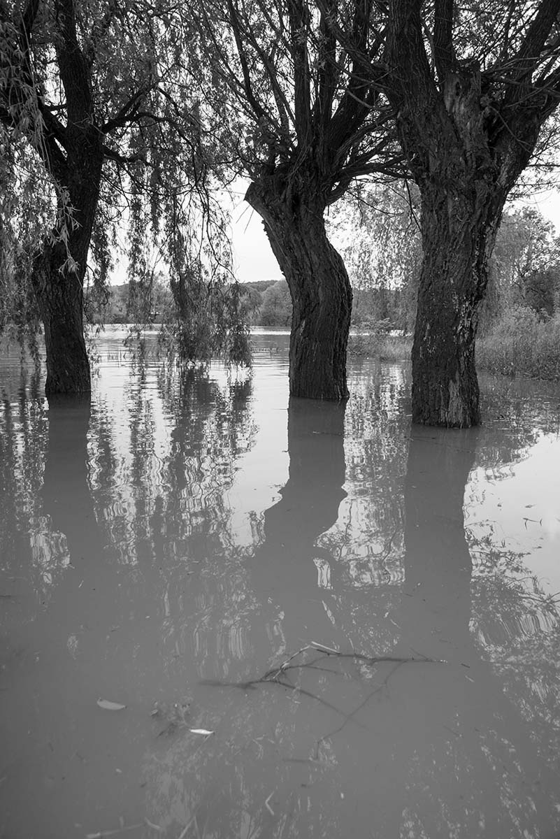 RIVER