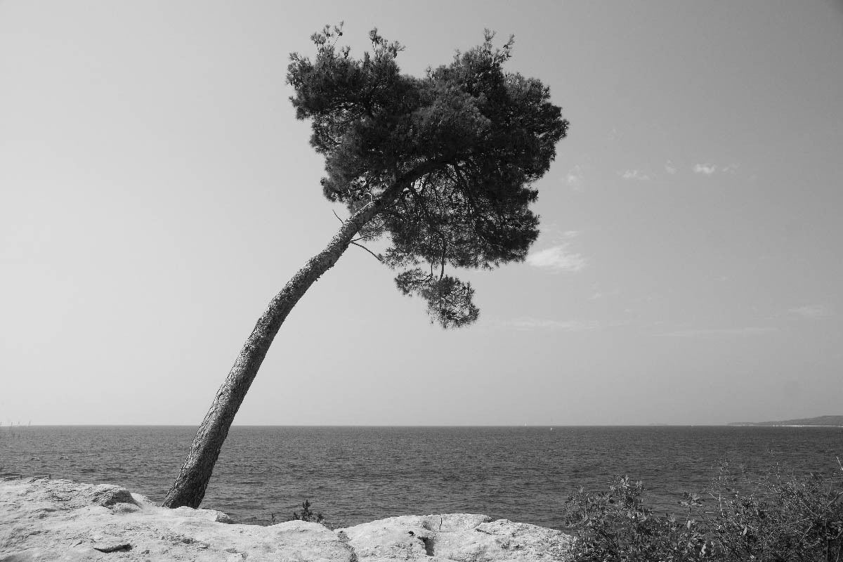 ROVINJ229 05 08 12