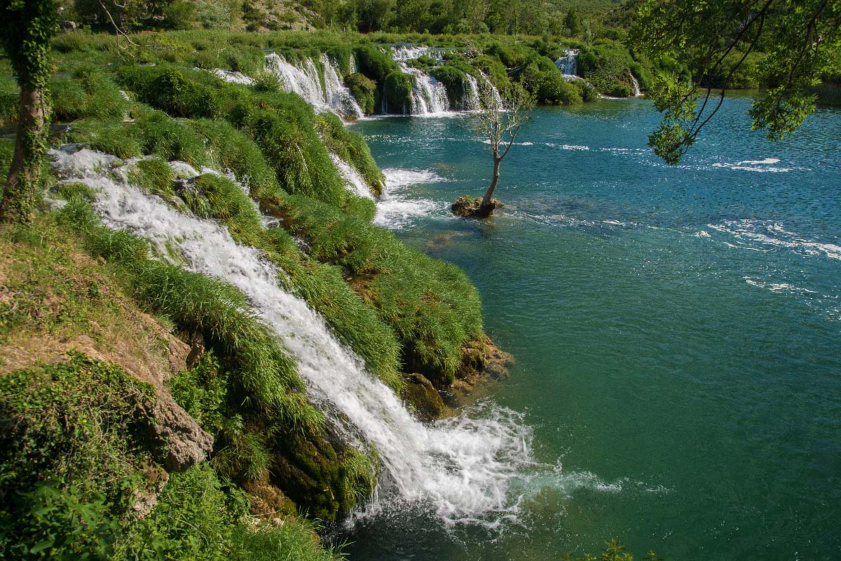 BERBEROV BUK52 27 05 17