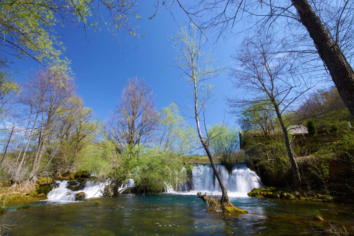 MREZNICA   SASTAVCI44 09 04 11