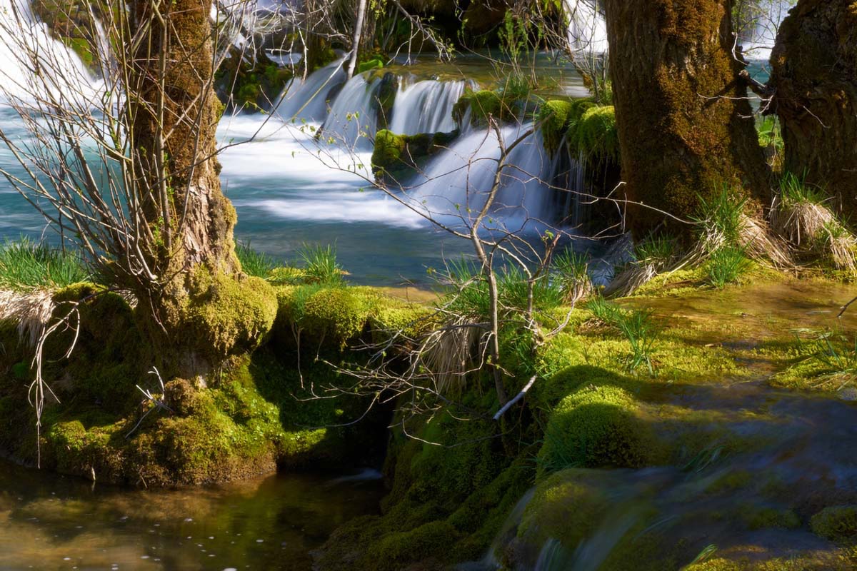 MREZNICA   SASTAVCI65 09 04 11