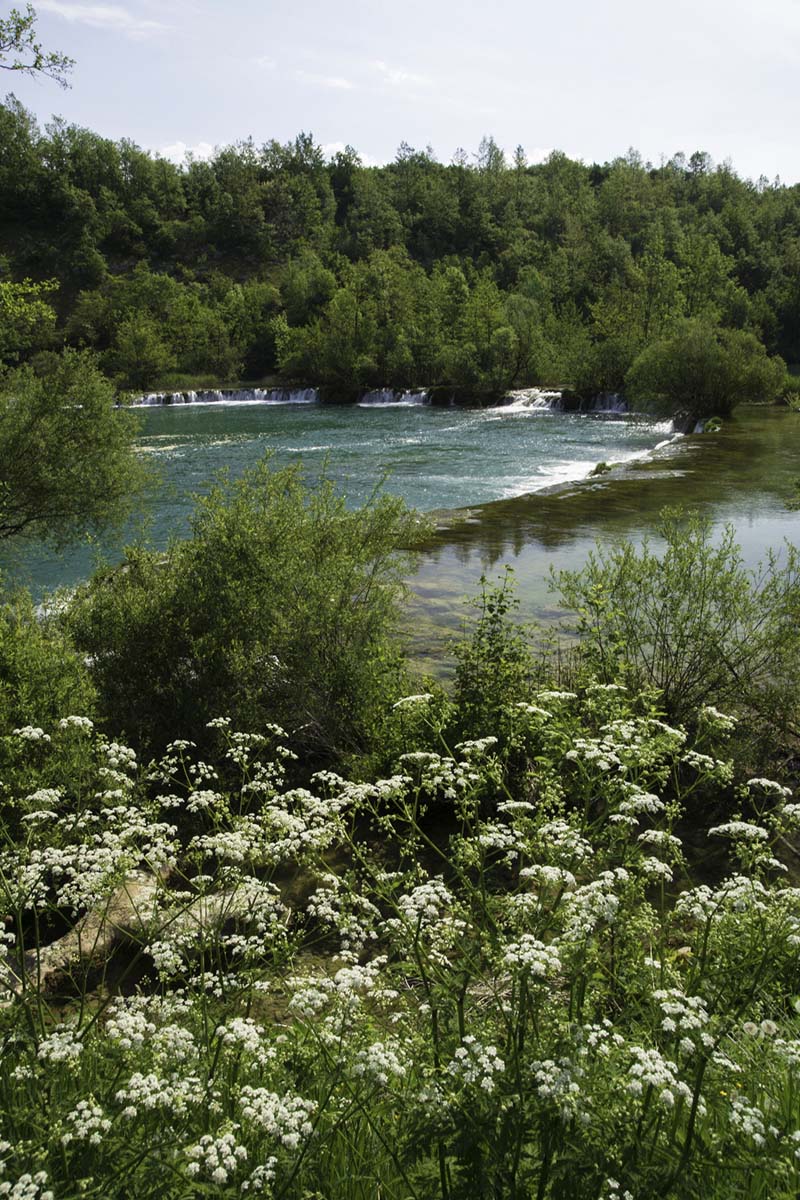 MREZNICA MLINCI26 09 05 15