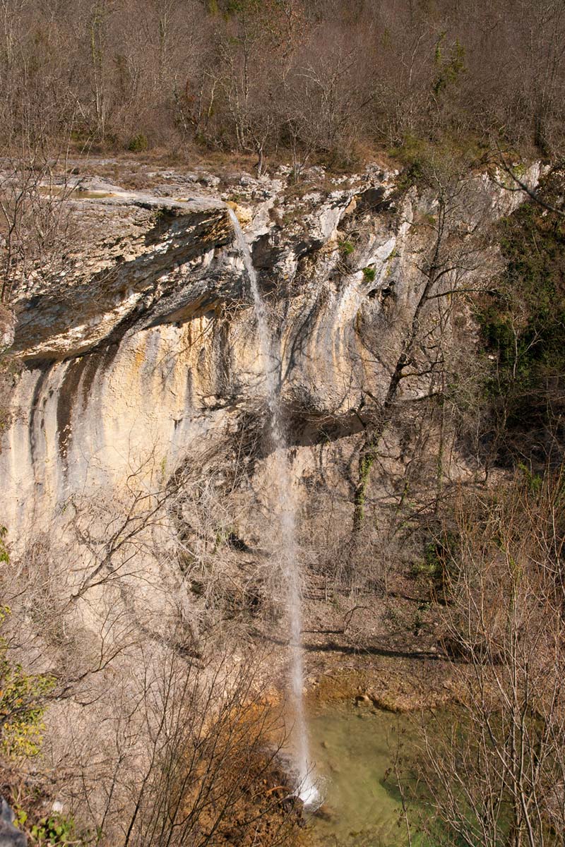 PECINE SLAP08 11 03 04