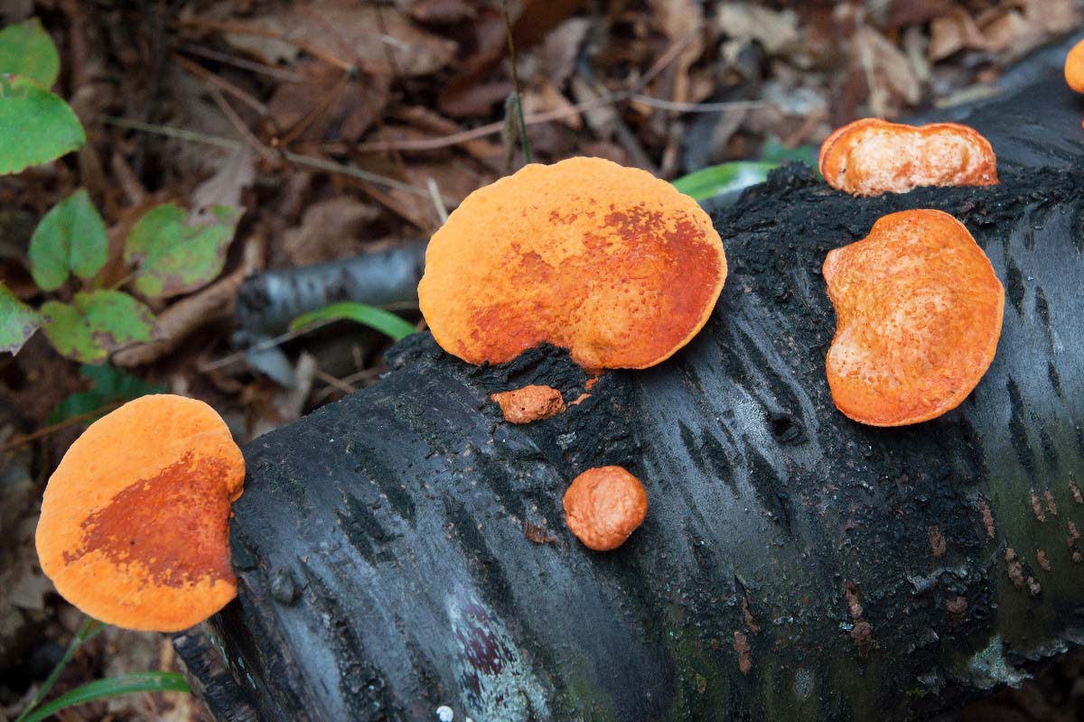 L 07 10 12