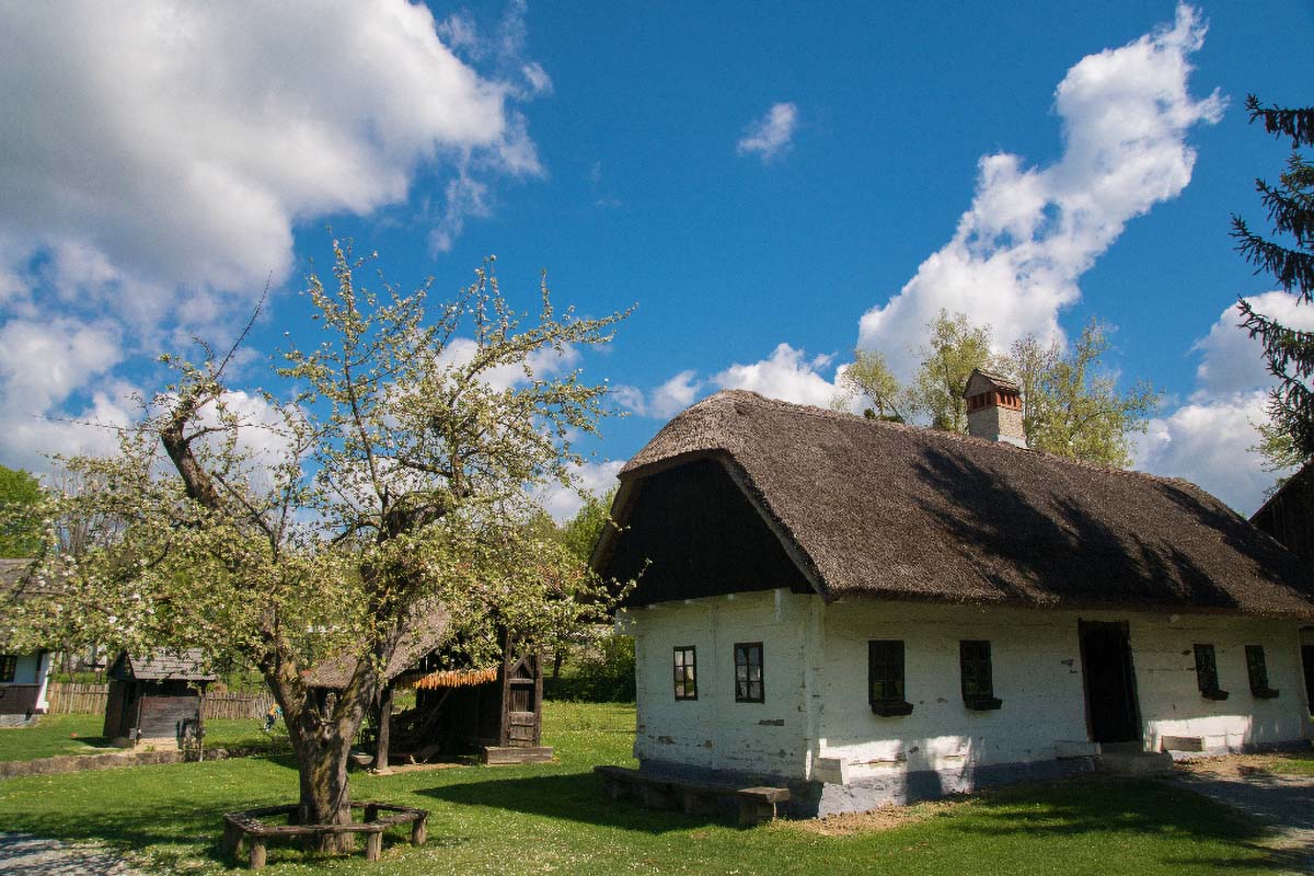 KUMROVEC033 17 04 17