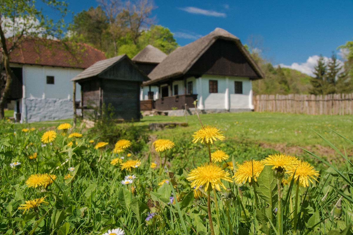 KUMROVEC053 17 04 17