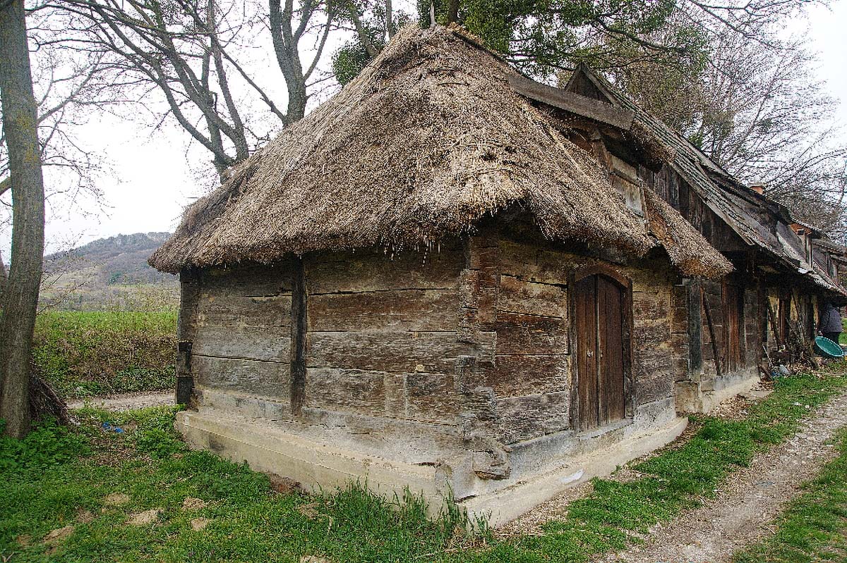 OBREZ KALNICKI18 29 03 08