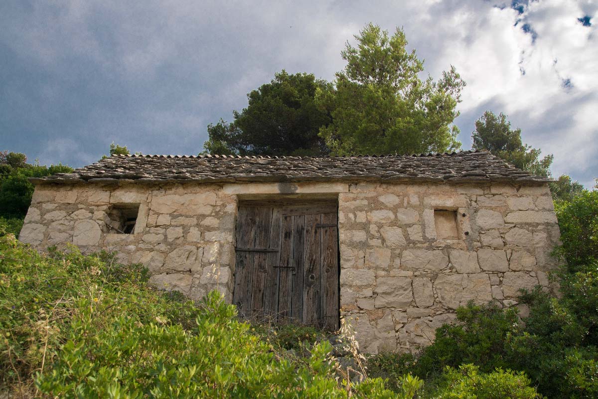 PUCISCA193 19 06 18