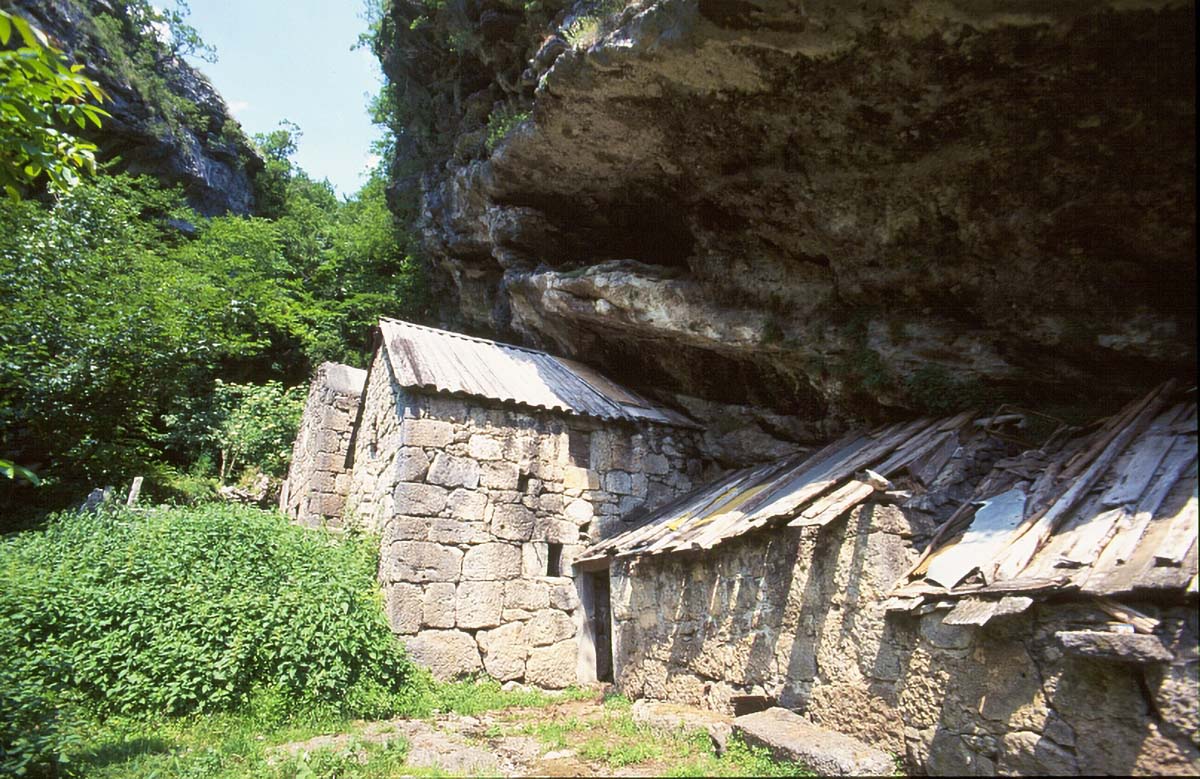 RAMICI VELEBIT K21B42