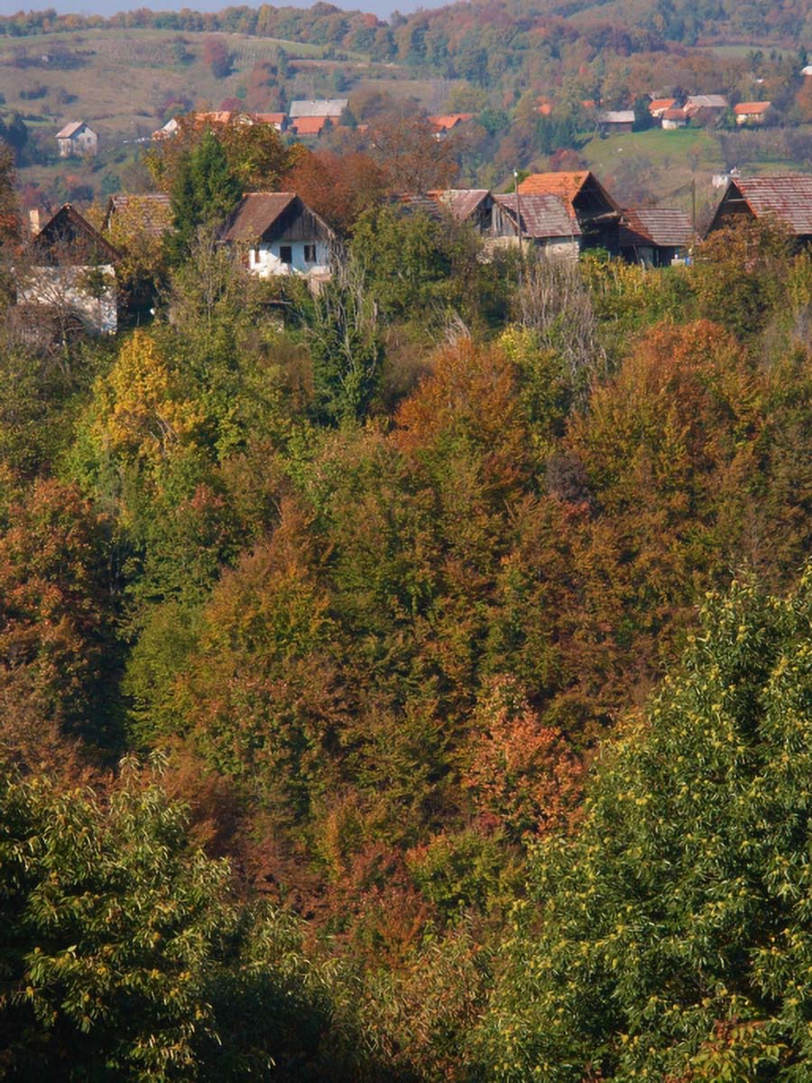 ZUMBERAK34 11 10 08