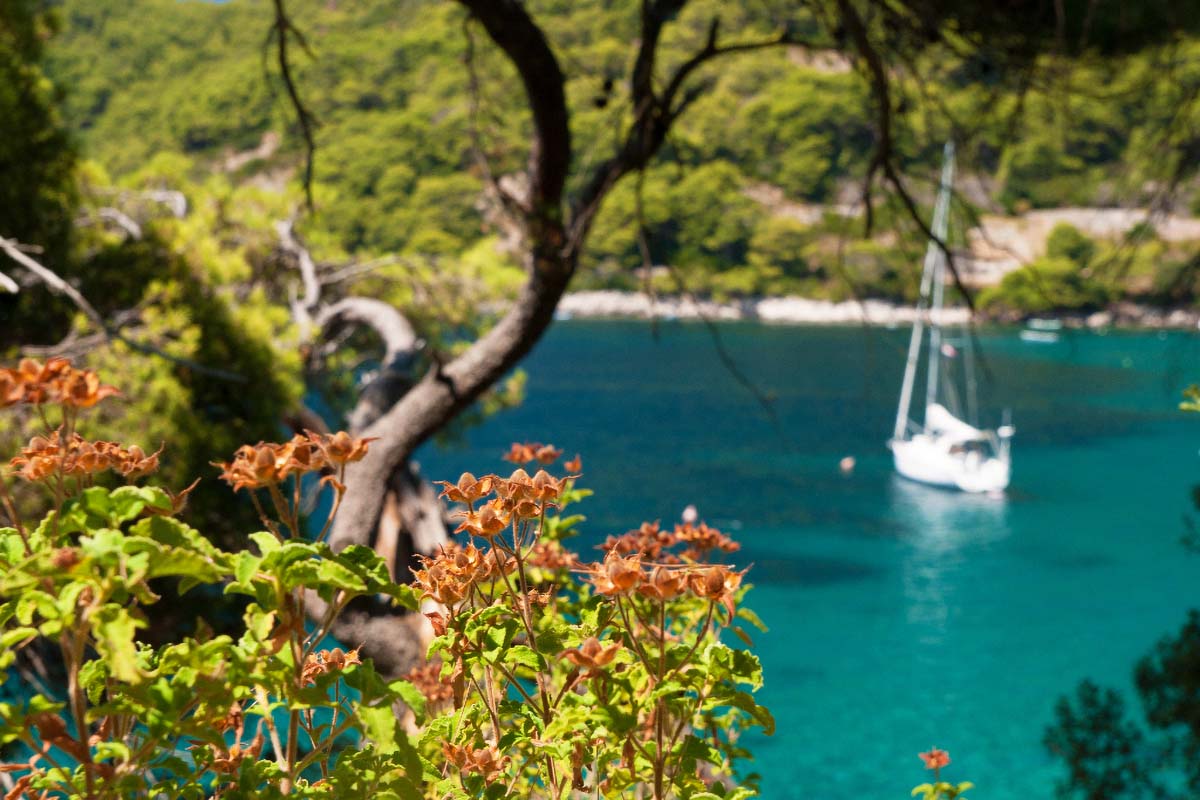 MLJET1009 13 08 13
