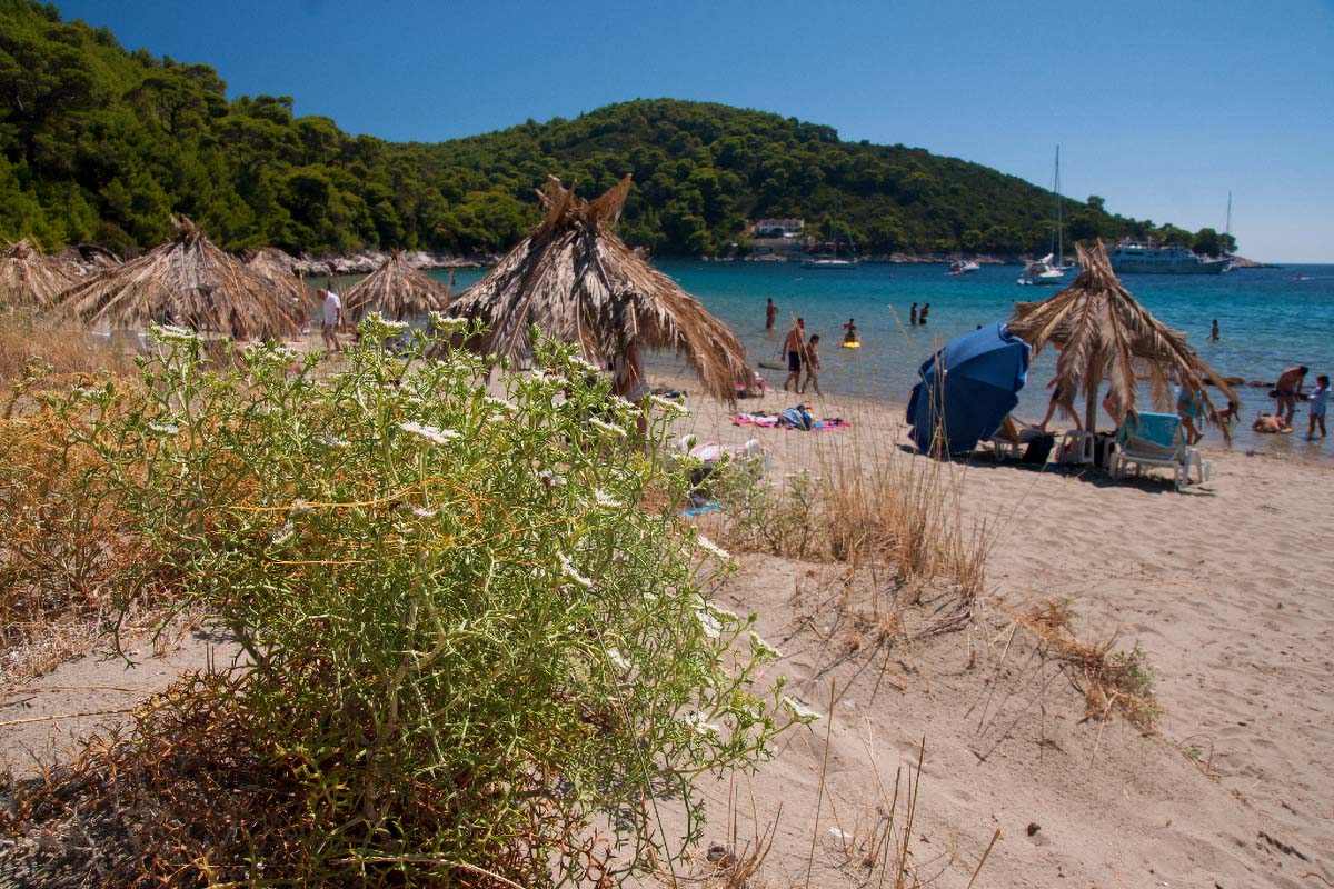 MLJET1100 13 08 13