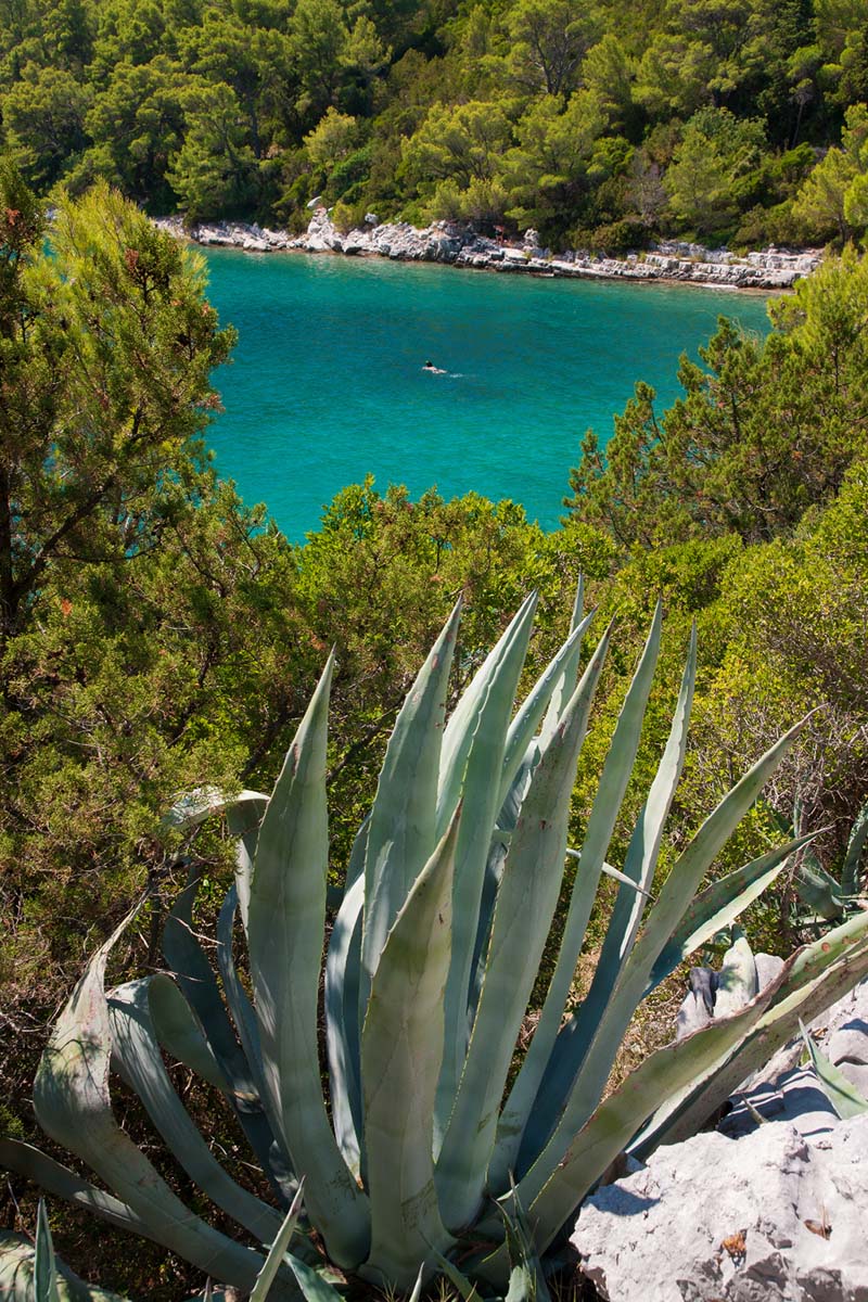 MLJET1248 14 08 13