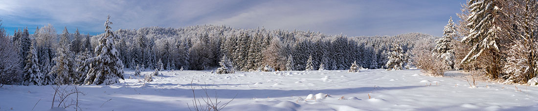 SERTIC POLJANA3 PANORAMA 26 01 19