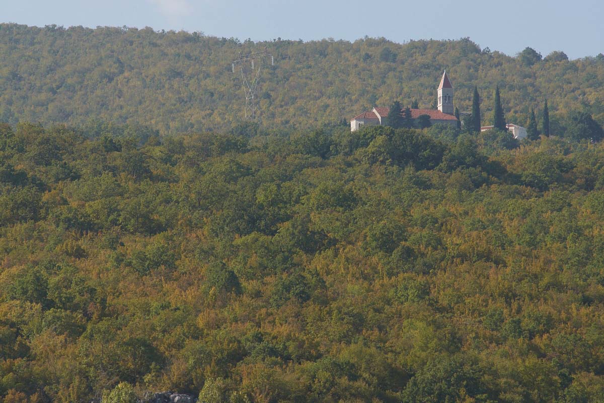 LOKVICIC01 08 10 09
