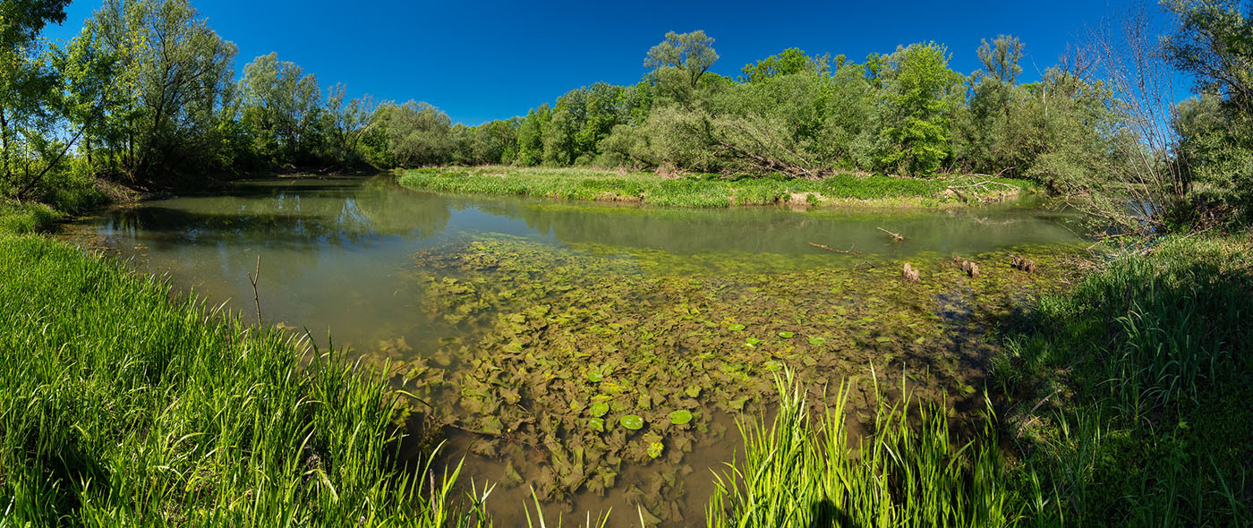 ODRA PANORAMA 04 05 20