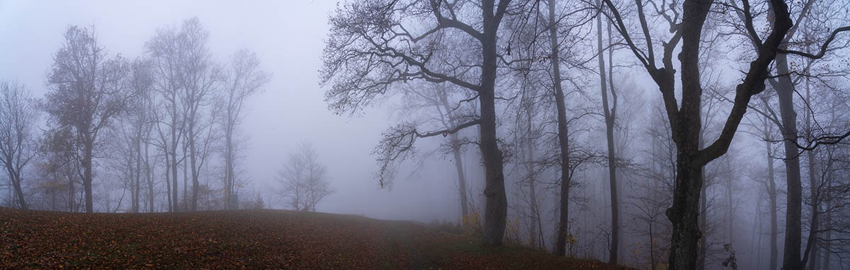 SUMA3 PANORAMA 10 11 20