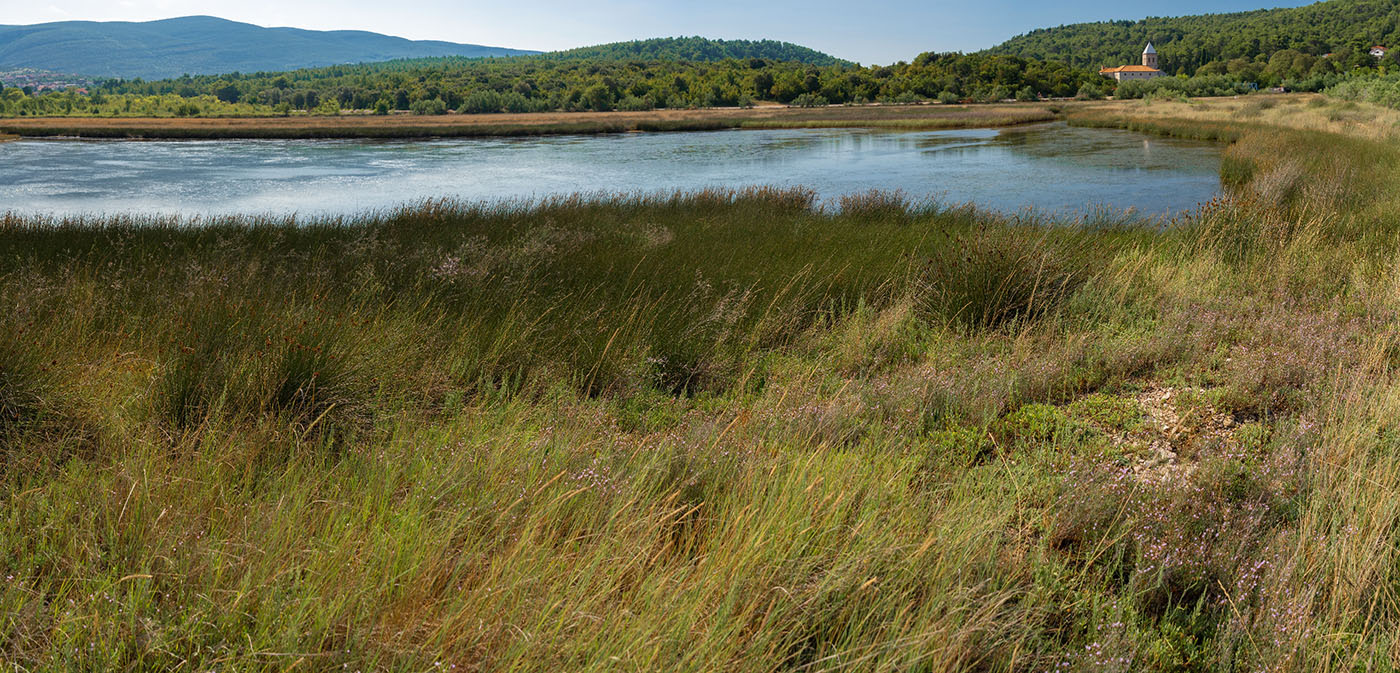 TUVINA1 PANORAMA 01 08 19