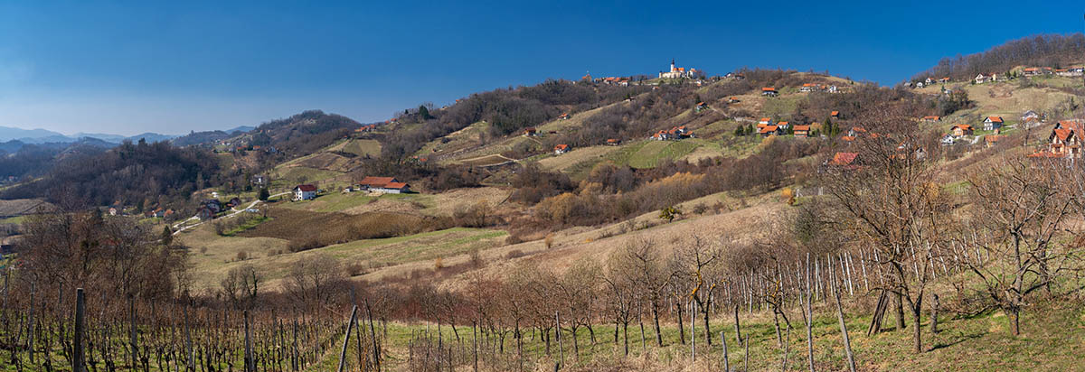 VINAGORA PANORAMA 02 03 21