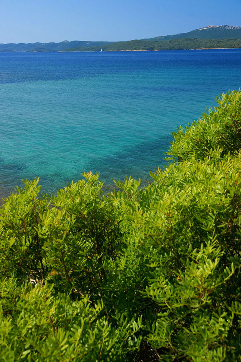 UVALA RADOLJINA IZ09 25 06 10