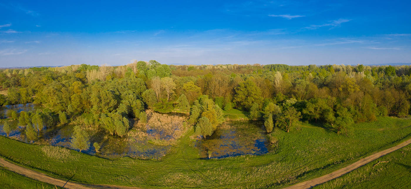 LONJSKO POLJE11 AIR PANORAMA 24 04 21