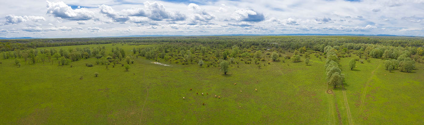 LONJSKO POLJE1 AIR PANORAMA 30 04 21