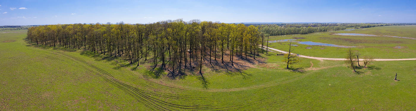 LONJSKO POLJE4 AIR PANORAMA 24 04 21