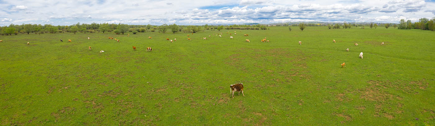 LONJSKO POLJE5 AIR PANORAMA 30 04 21