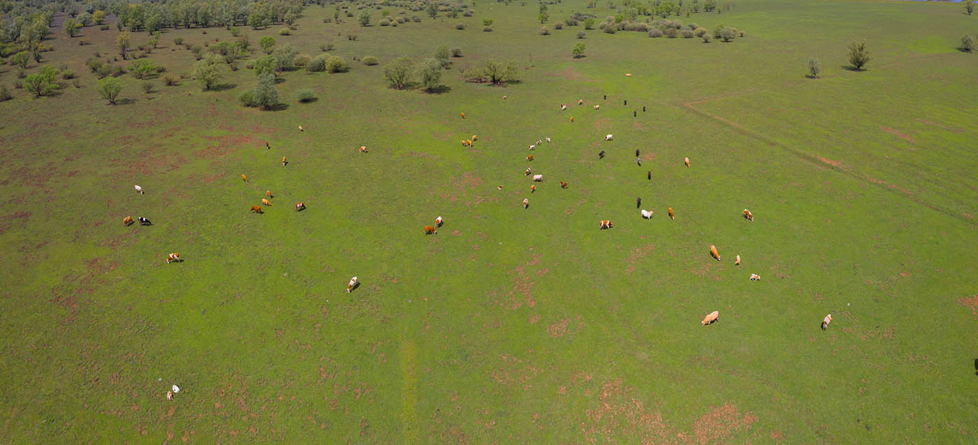LONJSKO POLJE6 AIR PANORAMA 30 04 21