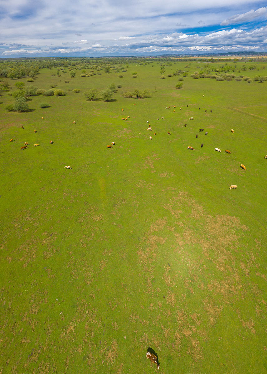 LONJSKO POLJE7 AIR PANORAMA 30 04 21