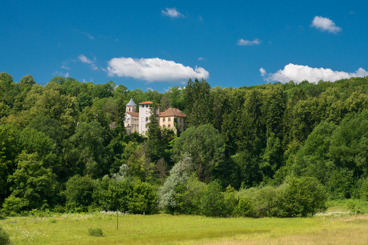 BOSILJEVO01 01 07 17