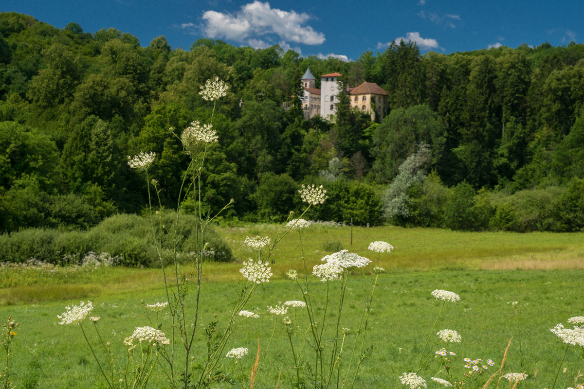 BOSILJEVO20 01 07 17