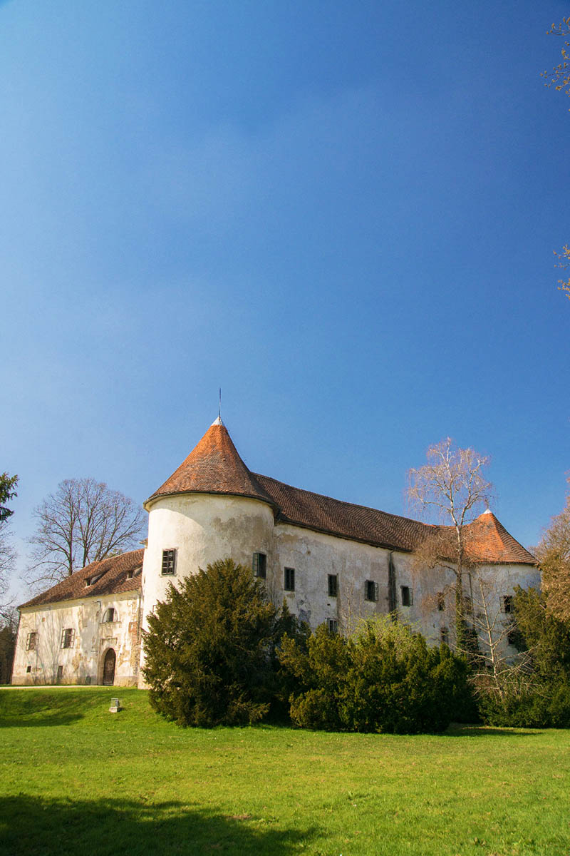 DVORAC ERDODY JASTREBARSKO06 25 03 17