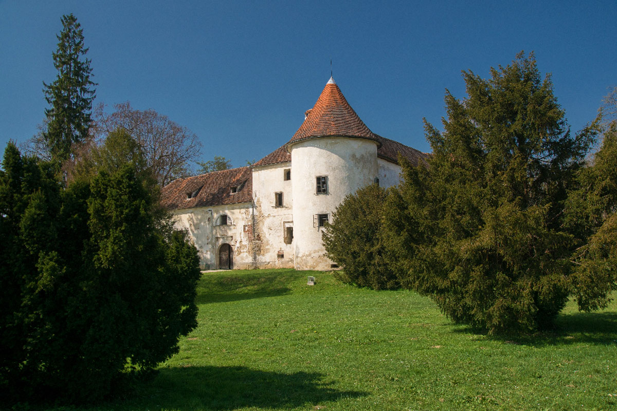 DVORAC ERDODY JASTREBARSKO07 25 03 17