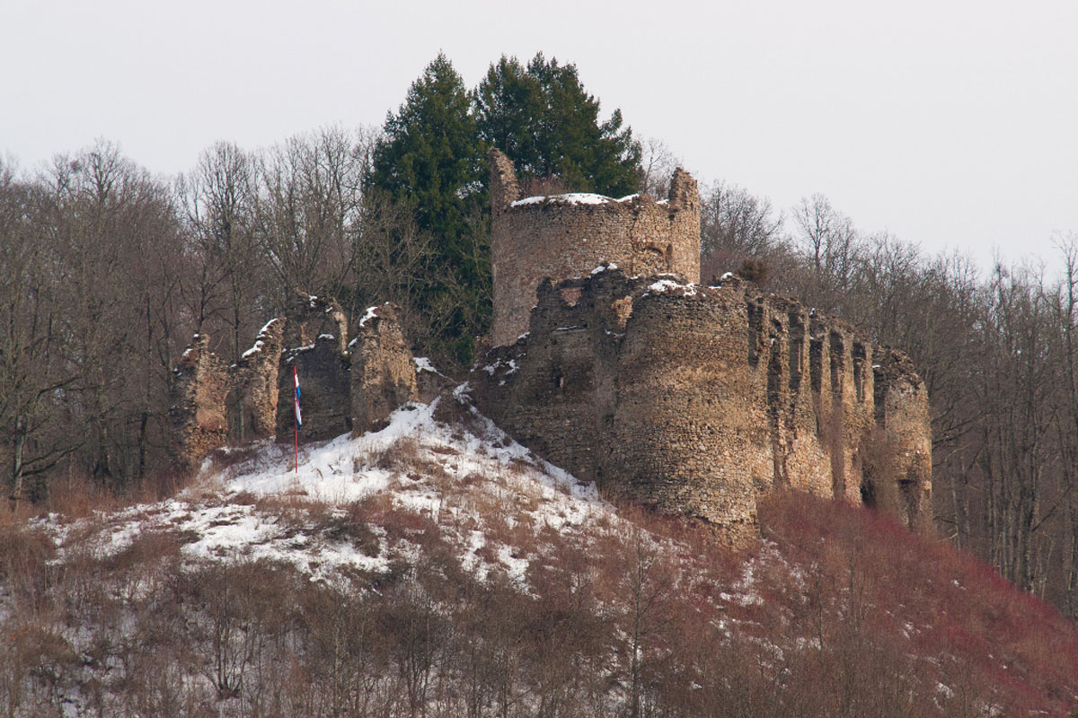 GVOZDANSKO39 18 02 12