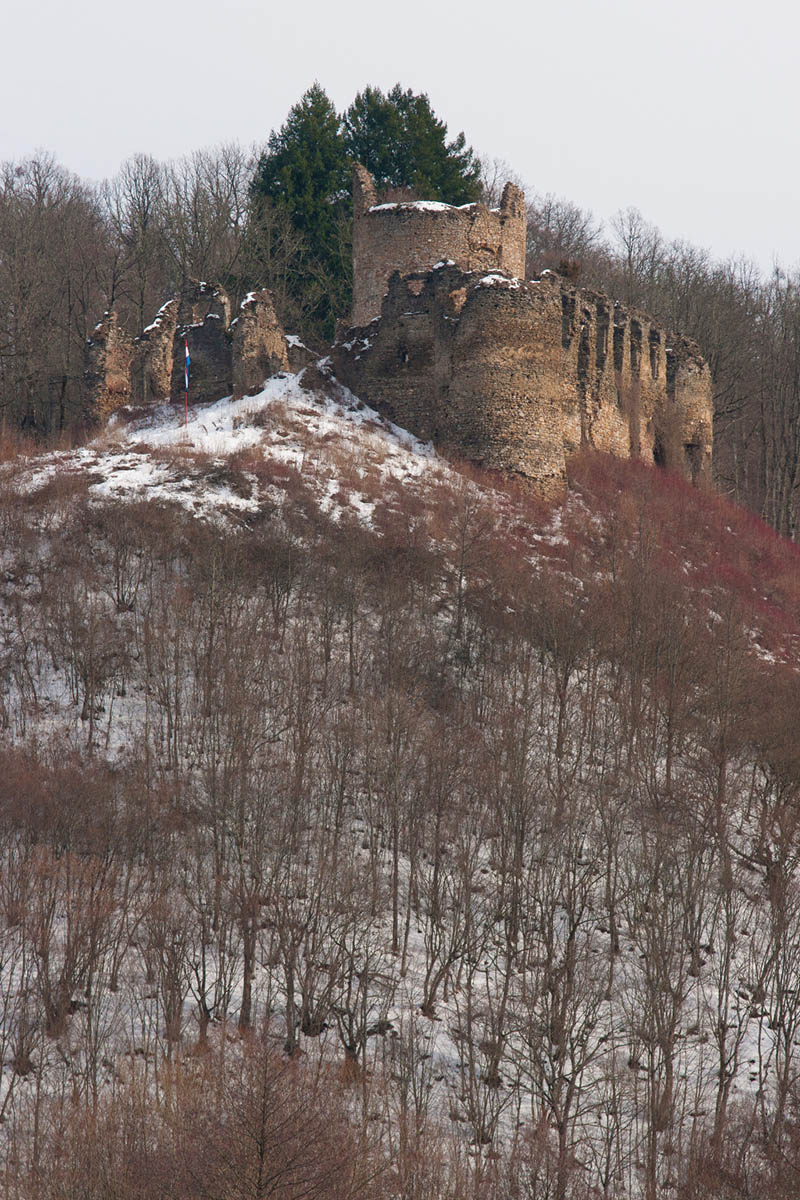 GVOZDANSKO40 18 02 12