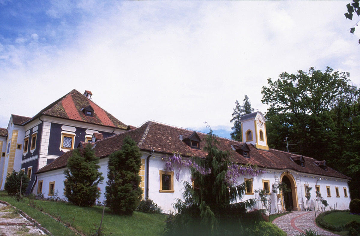 MILJANA K15D17