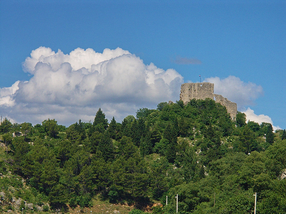 OBROVAC04 15 06 08