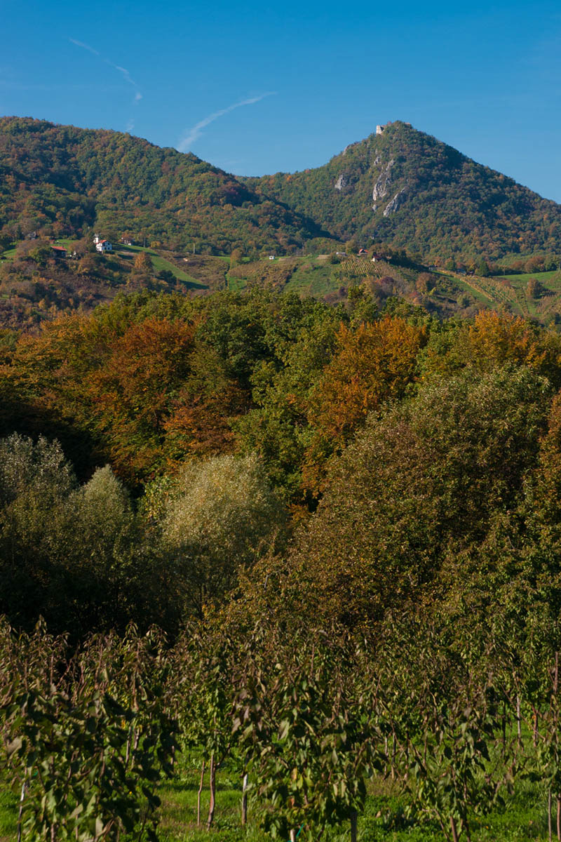 OKIC06 18 10 13