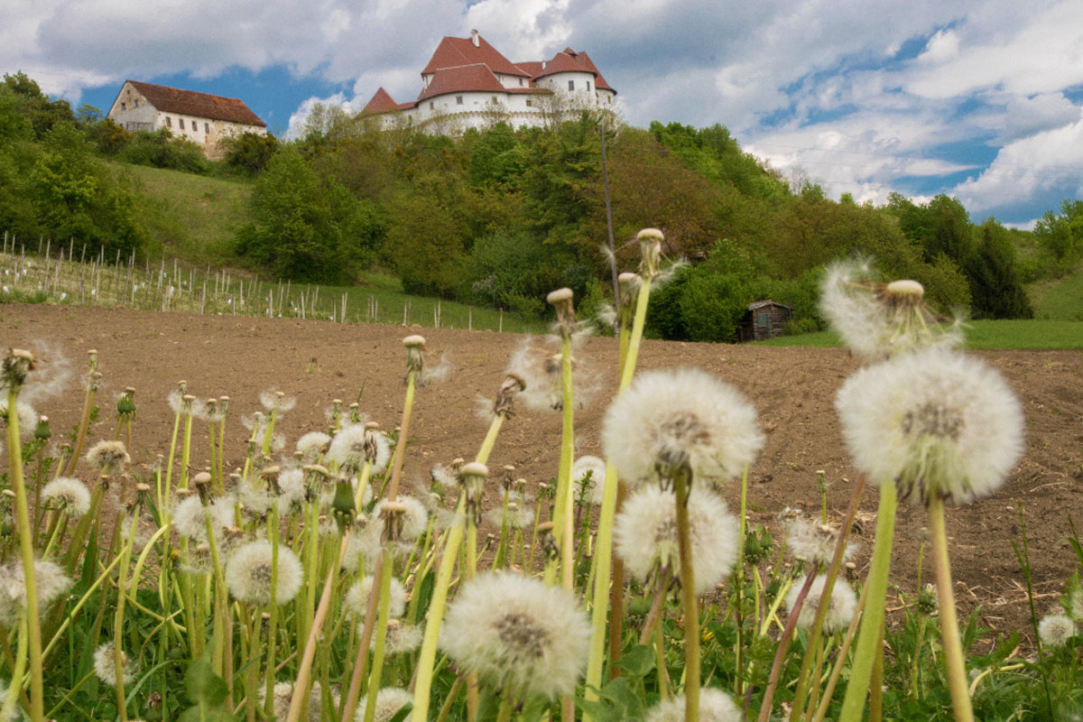 VELIKI TABOR017 17 04 17