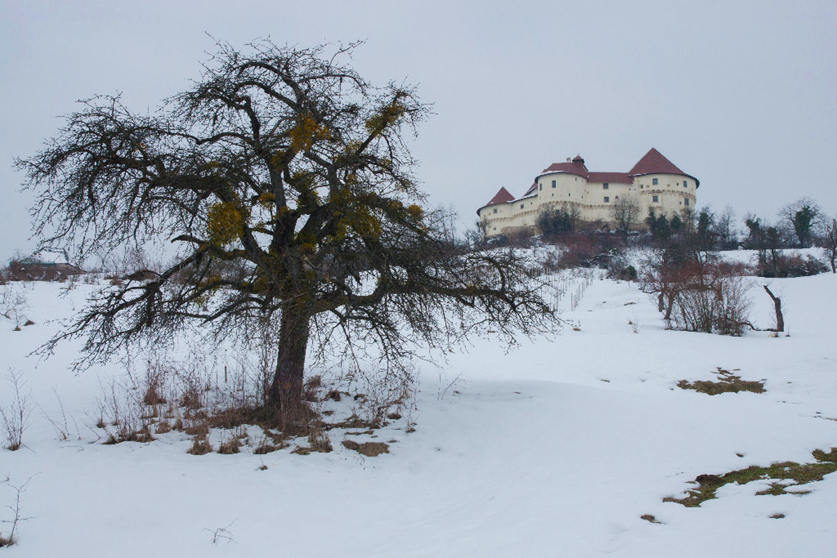 VELIKI TABOR133 26 01 13