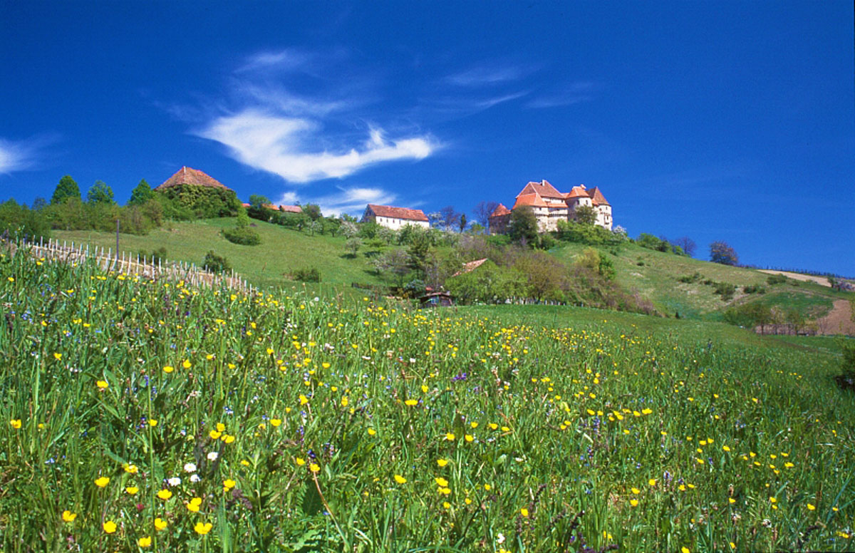 VELIKI TABOR K18C24
