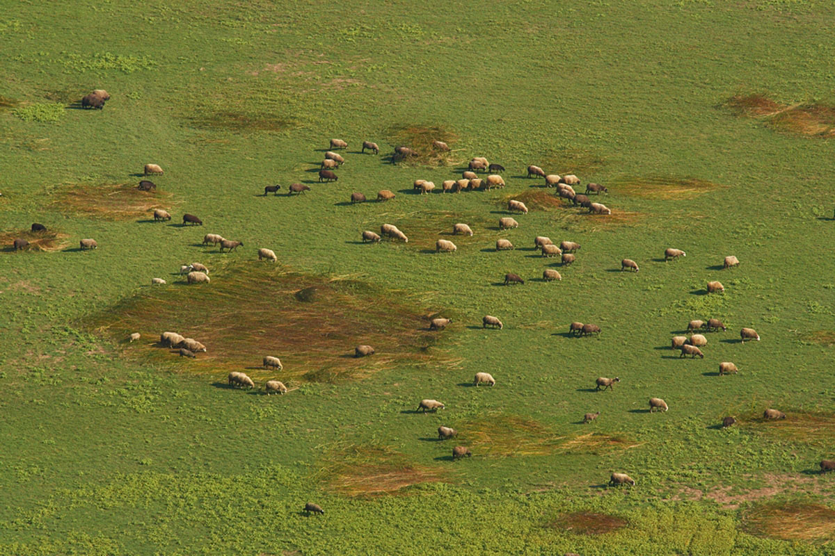 PROLOSKO BLATO33 08 10 09