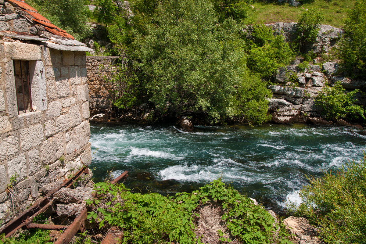 CETINA134 20 05 12