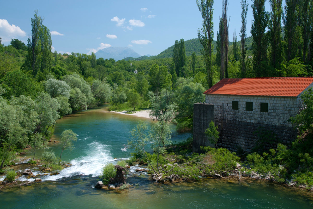 CETINA271 19 05 11