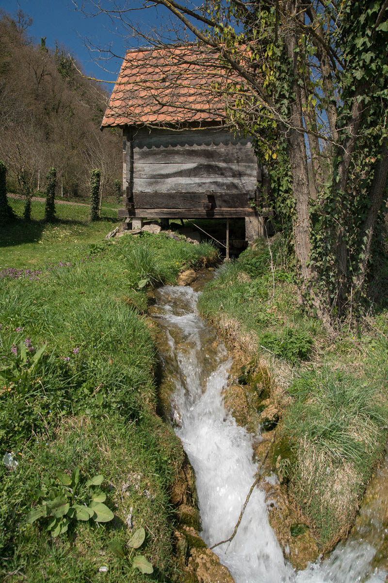 DRAGA SVETOJANSKA038 25 03 17
